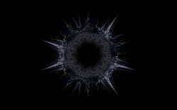 2014 12 15 Shadow Play 038-black.jpg